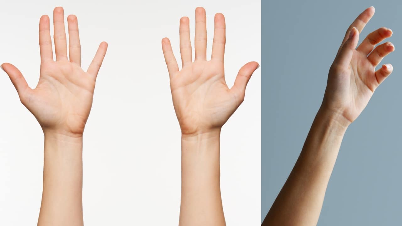 El músculo que no todo el mundo tiene