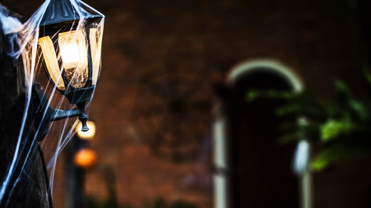 telarañas artificiales