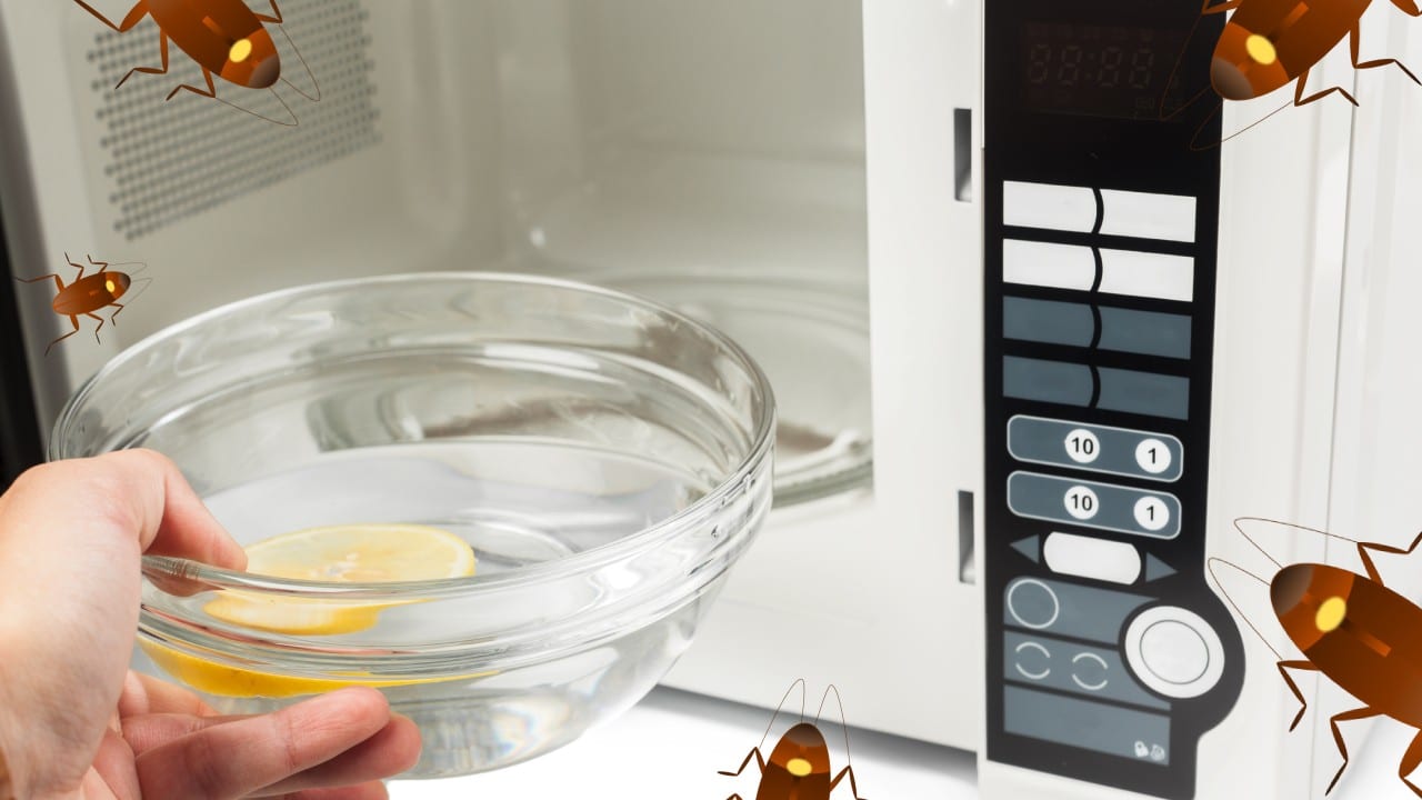 Remedio para limpiar el microondas y ahuyentar cucarachas
