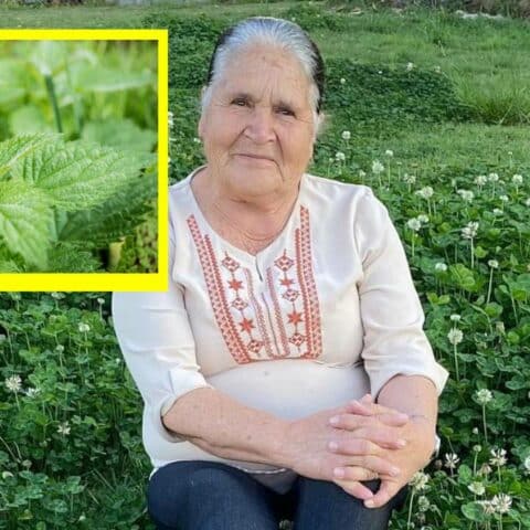 Remedio de Doña Ángela para la circulación