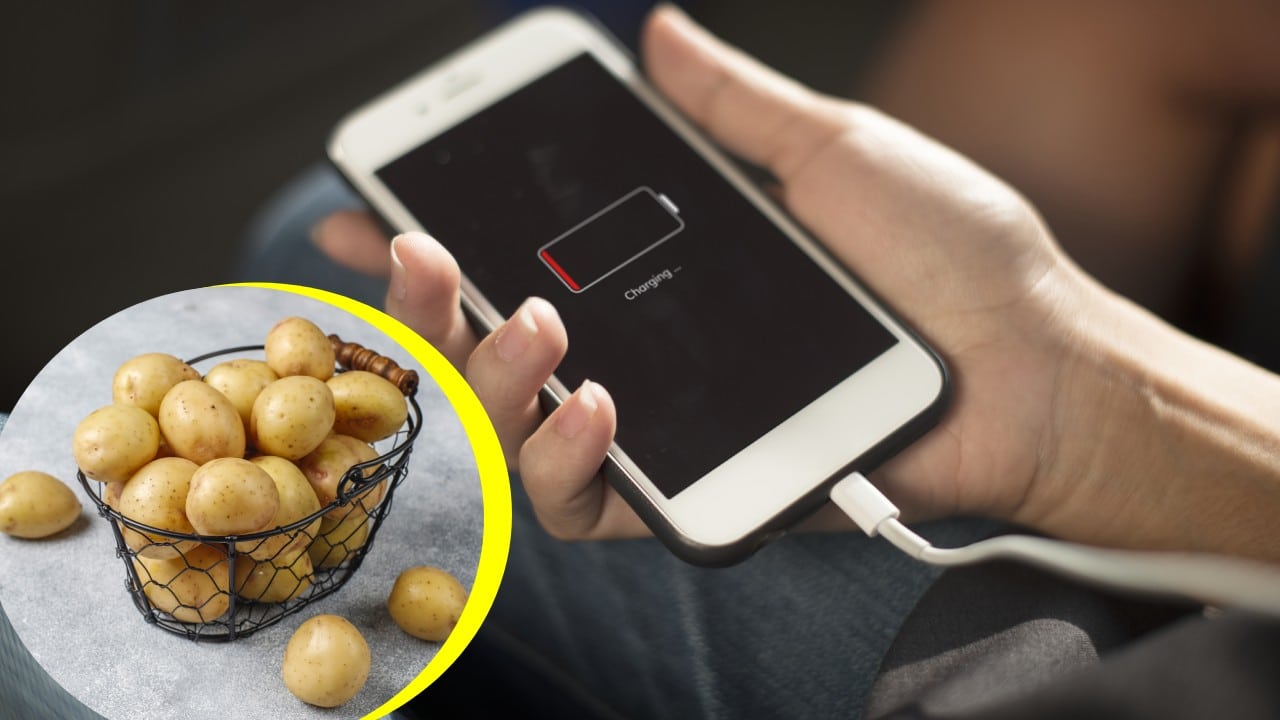 Truco para cargar tu celular con una papa