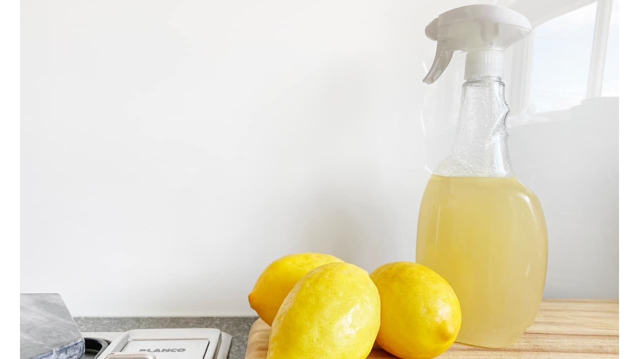 Ahuyenta a las arañas de tu hogar