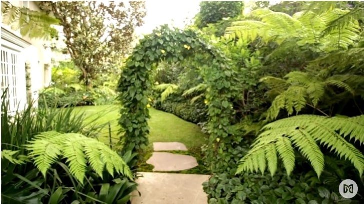 La casa de Martha Debayle