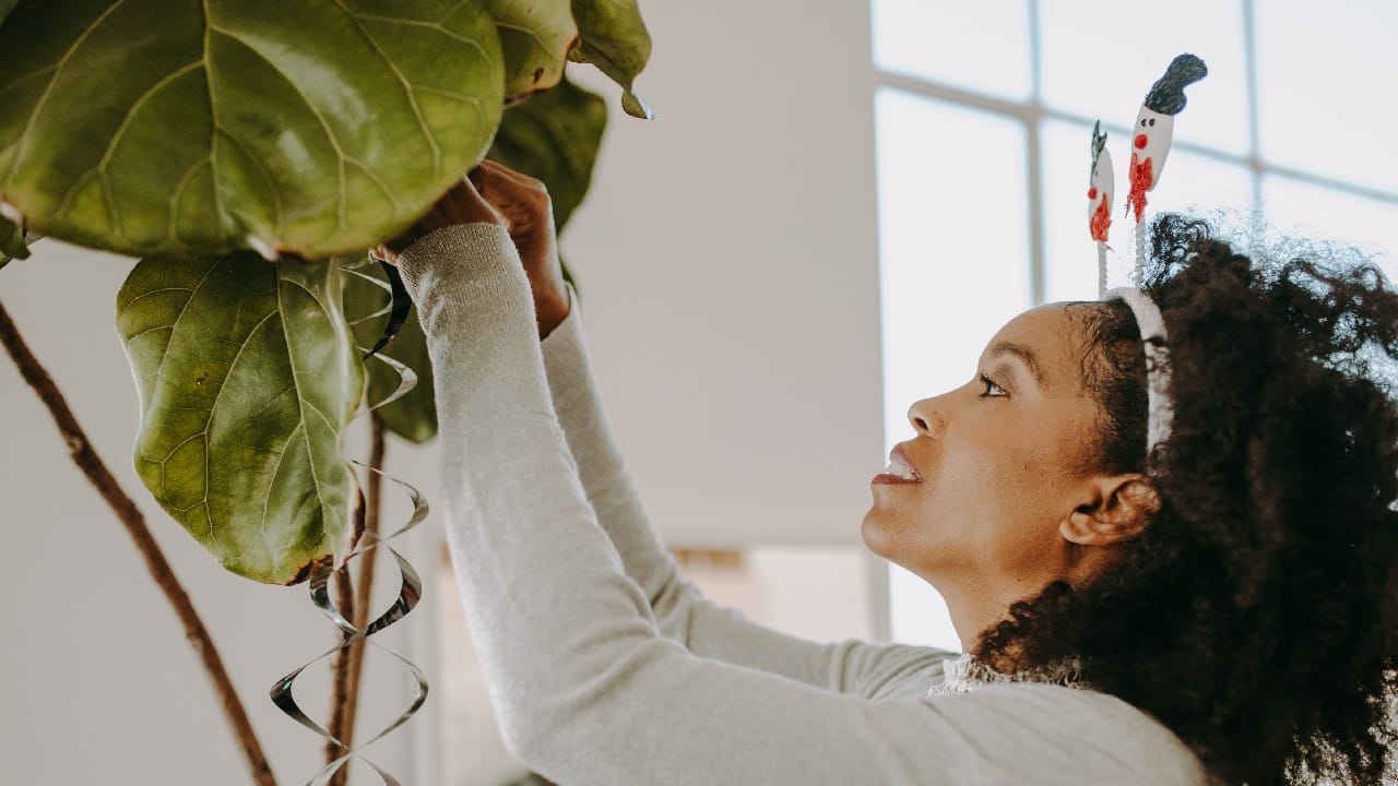 preparar plantas para frio