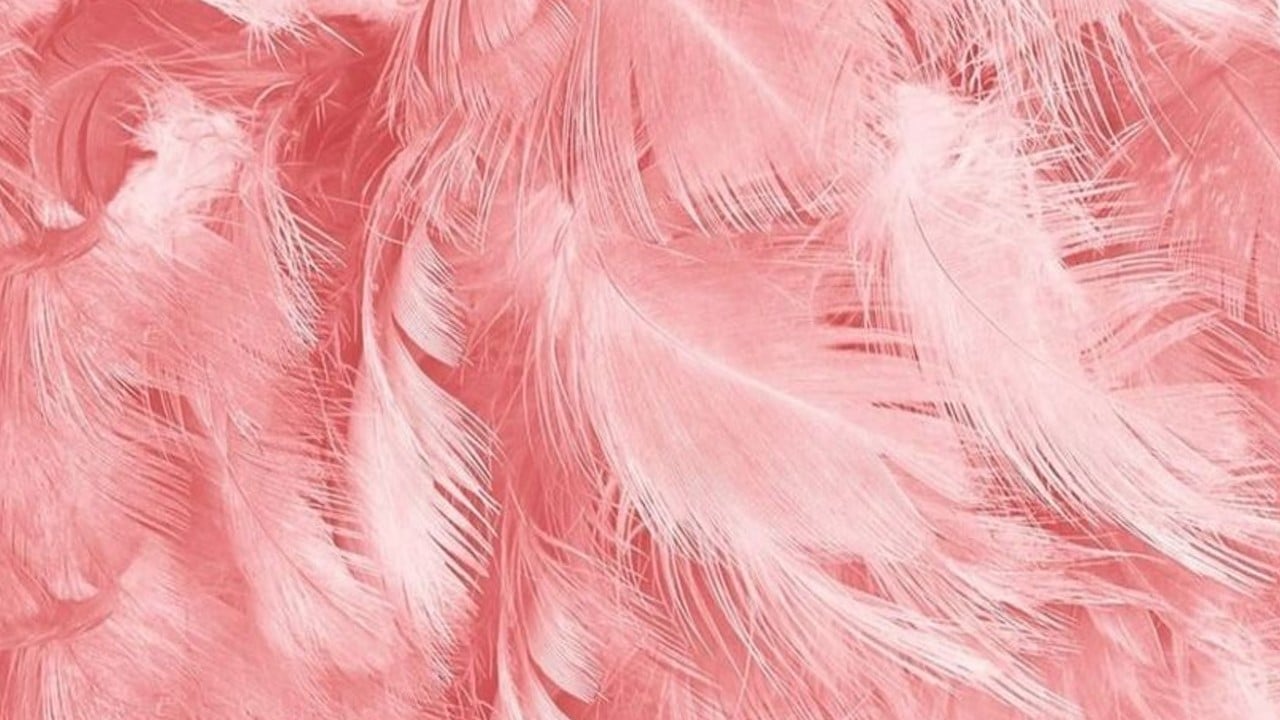 decoracion navidena rosa