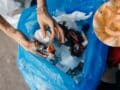 Cómo evitar que le salgan gusanos blancos al bote de basura: 2 poderosos trucos para eliminarlos