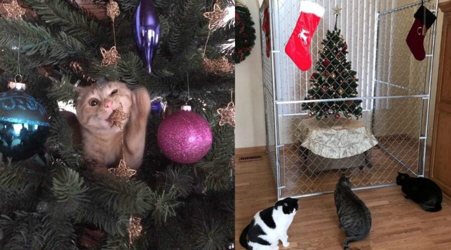 Evitar que tu gato destruya tu árbol de Navidad