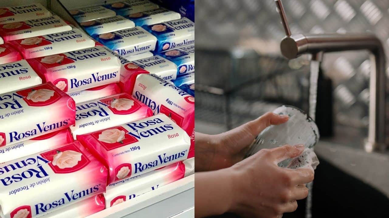 jabon para trastes con rosa venus