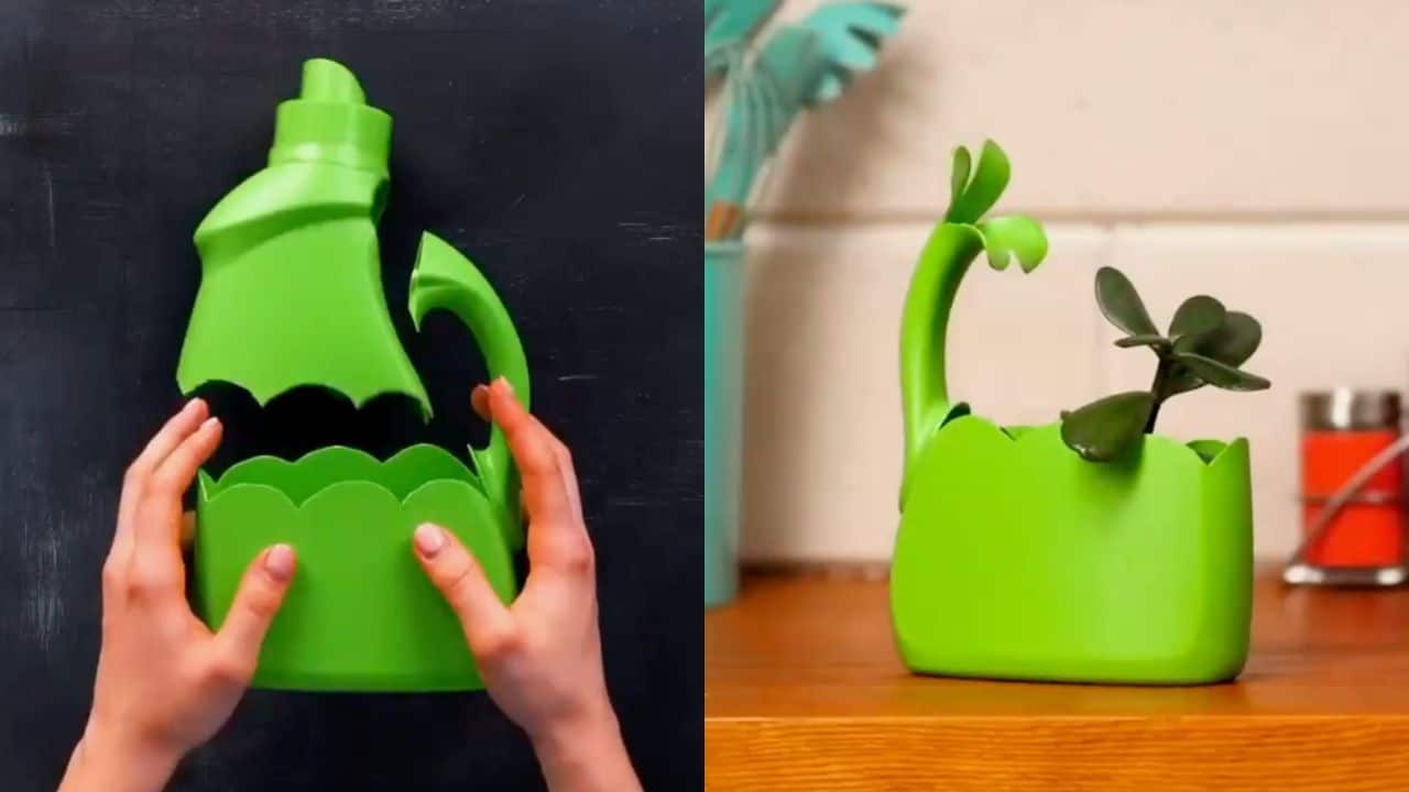 macetas con botellas de detergente