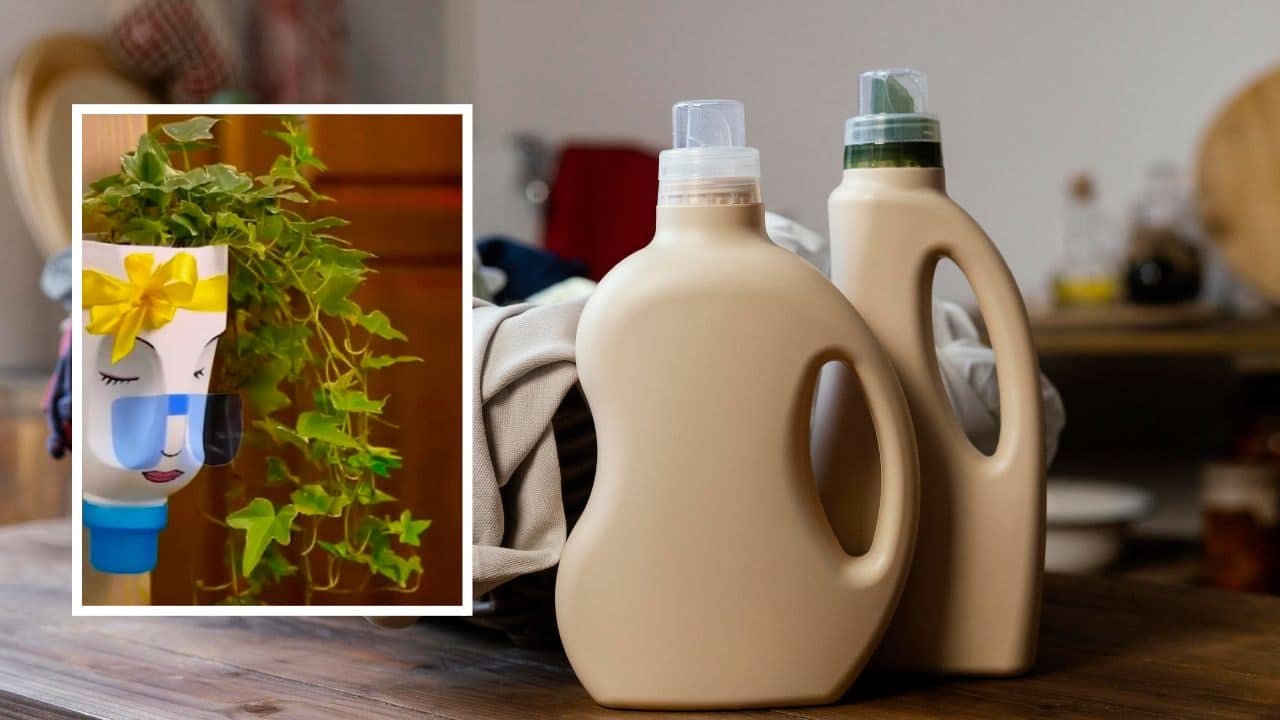 macetas con botellas de suavizante