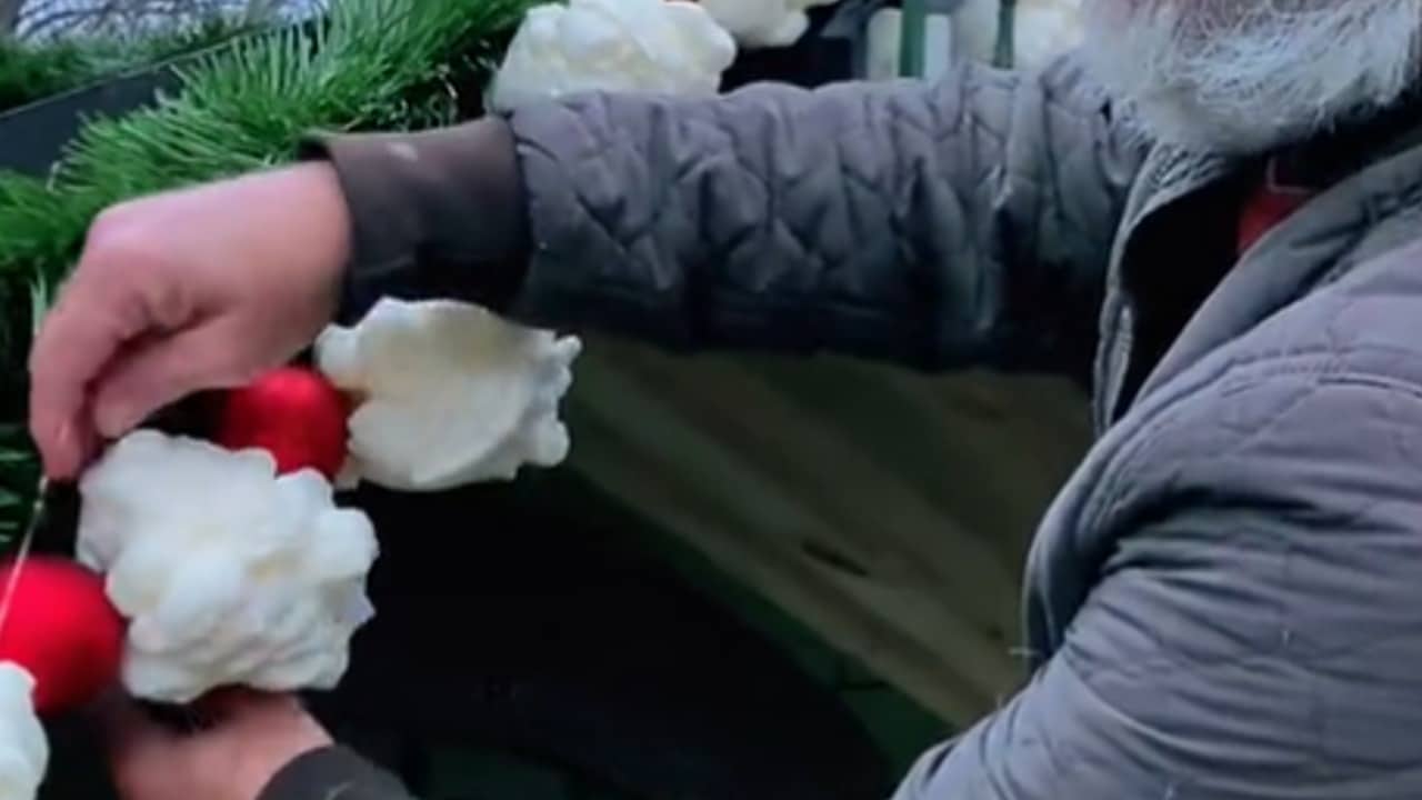 guía de palomitas gigante