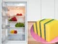 limpiar con una esponja por debajo del refrigerador