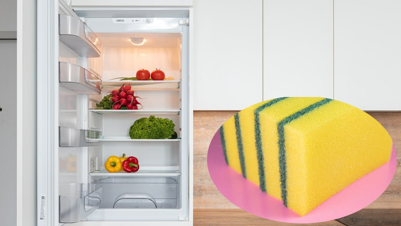 limpiar con una esponja por debajo del refrigerador