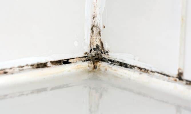 Cómo quitar el moho del baño