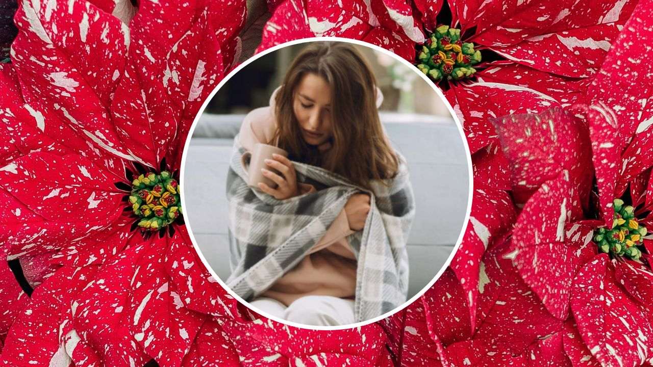 nochebuena para aliviar gripe