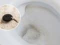 piedra pomez eliminar sarro inodoro