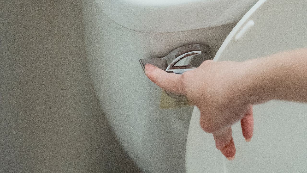 piedra pomez para lavar bano