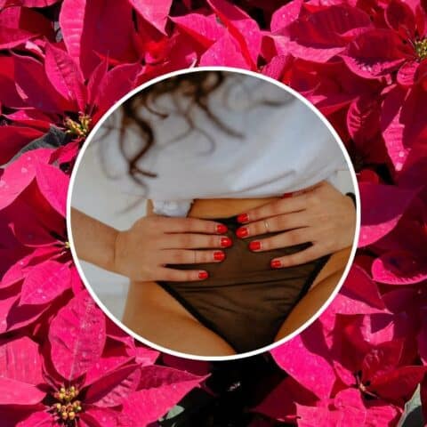 flor de nochebuena para colicos