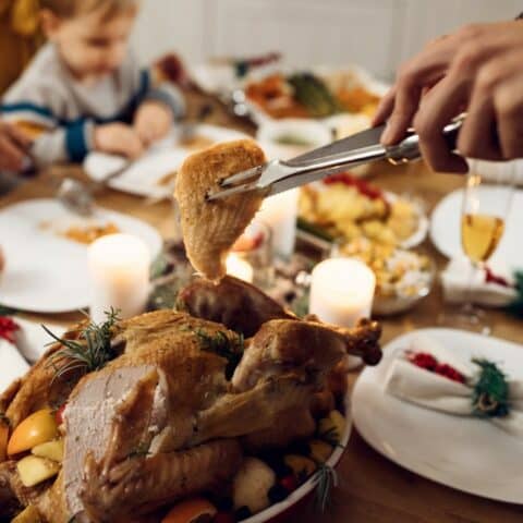 Día de Acción de Gracias 2022