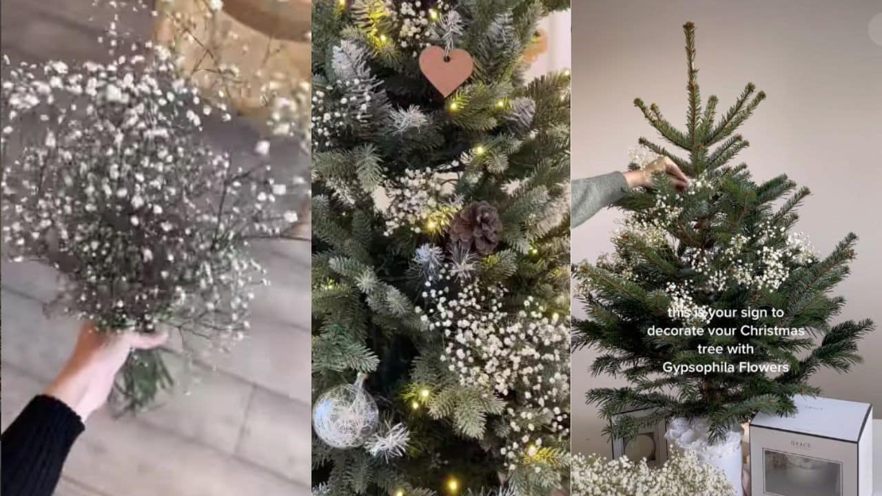 arbol de navidad flor de nube