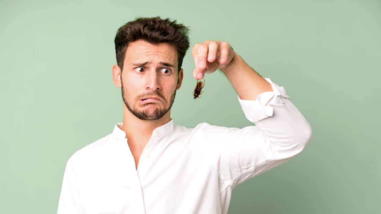 donde se esconden cucarachas