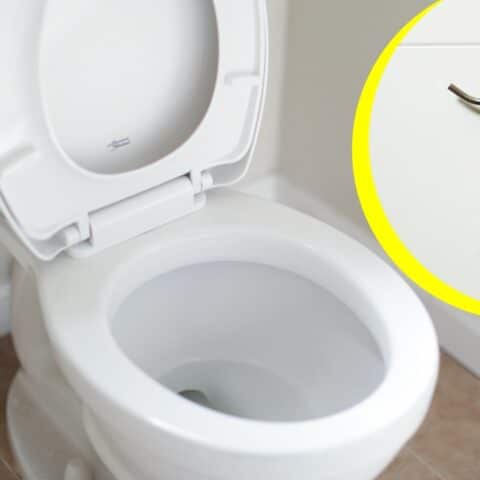 El truco para destapar un inodoro
