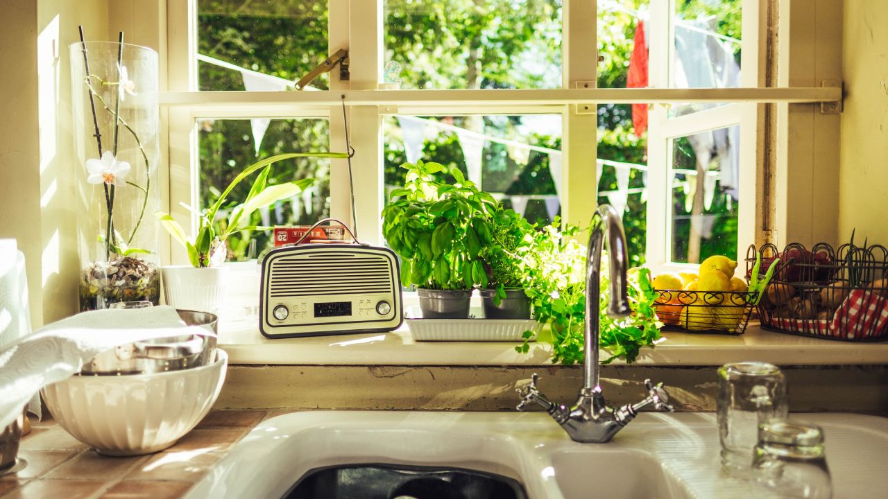 Hierbas que eliminan el mal olor