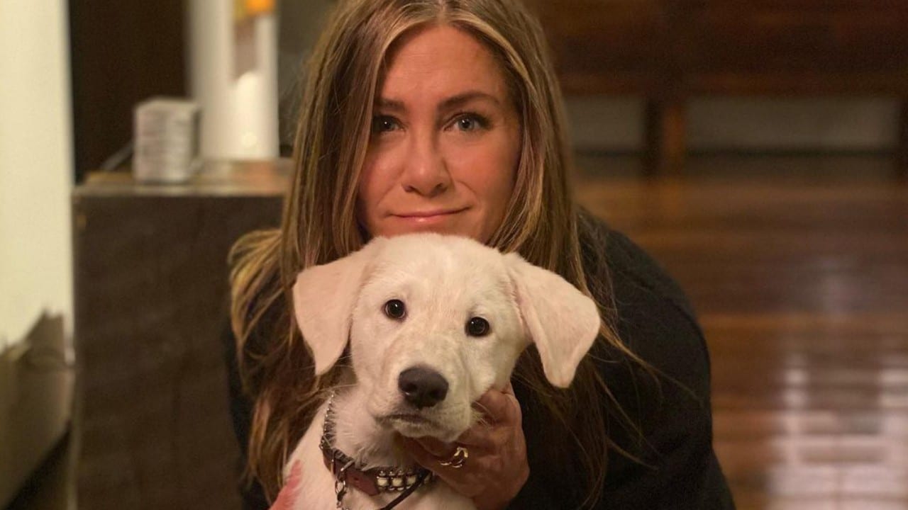 congelar los óvulos en México