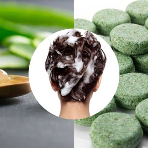 shampoo solido de aloe vera