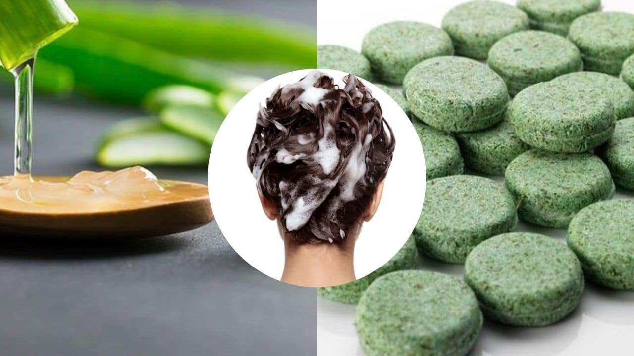 shampoo solido de aloe vera