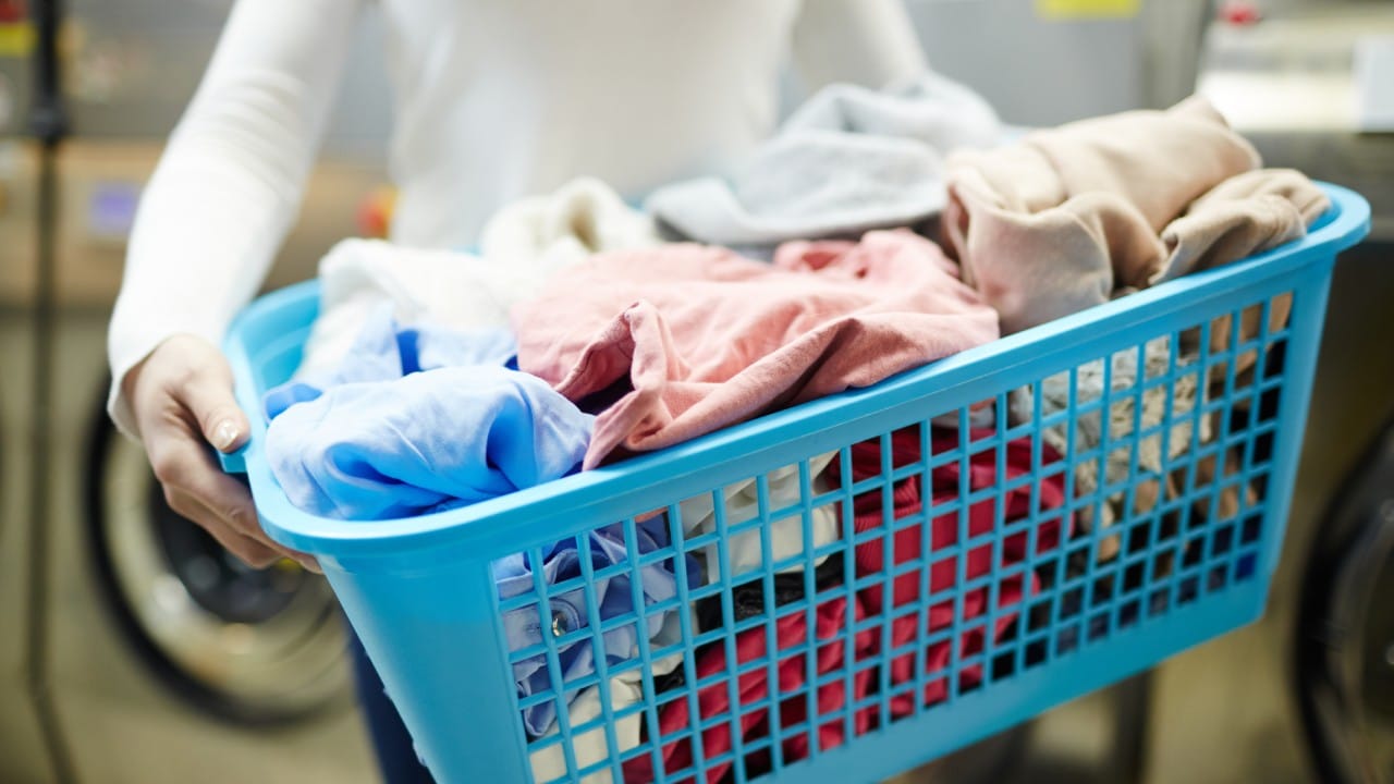 La CFE aconseja lavar a mano