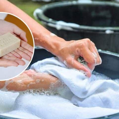 mejores jabones para ropa profeco