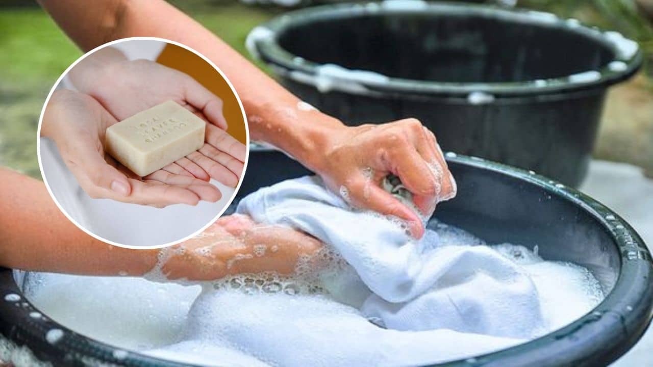 mejores jabones para ropa profeco