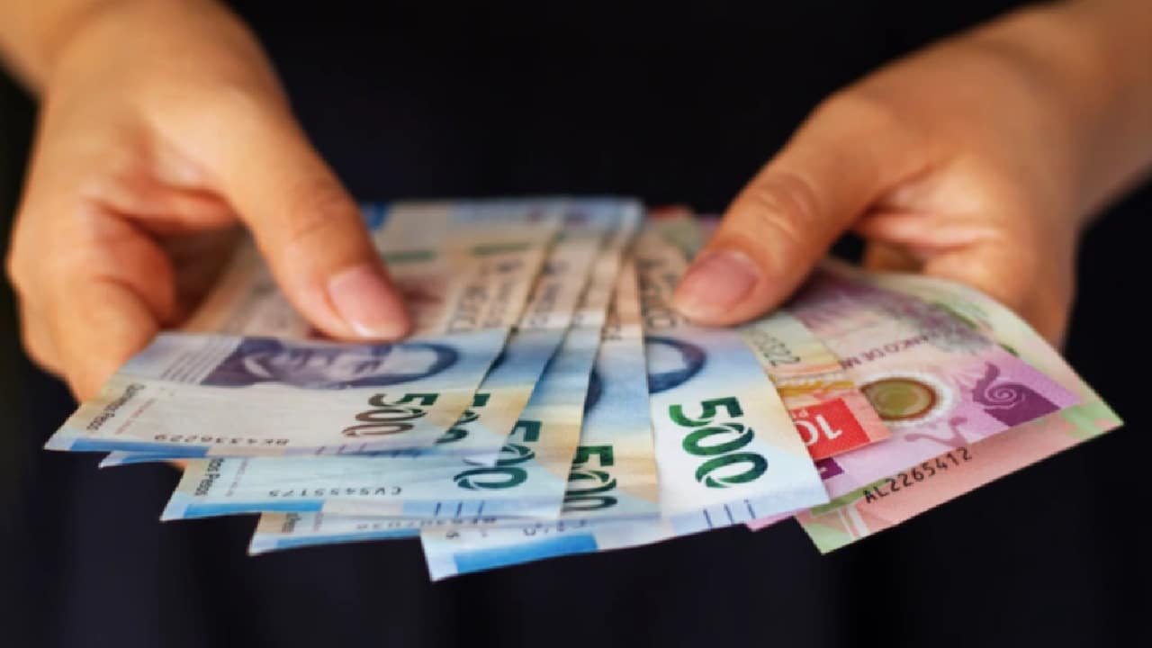 ritual de noviembre mhoni vidente