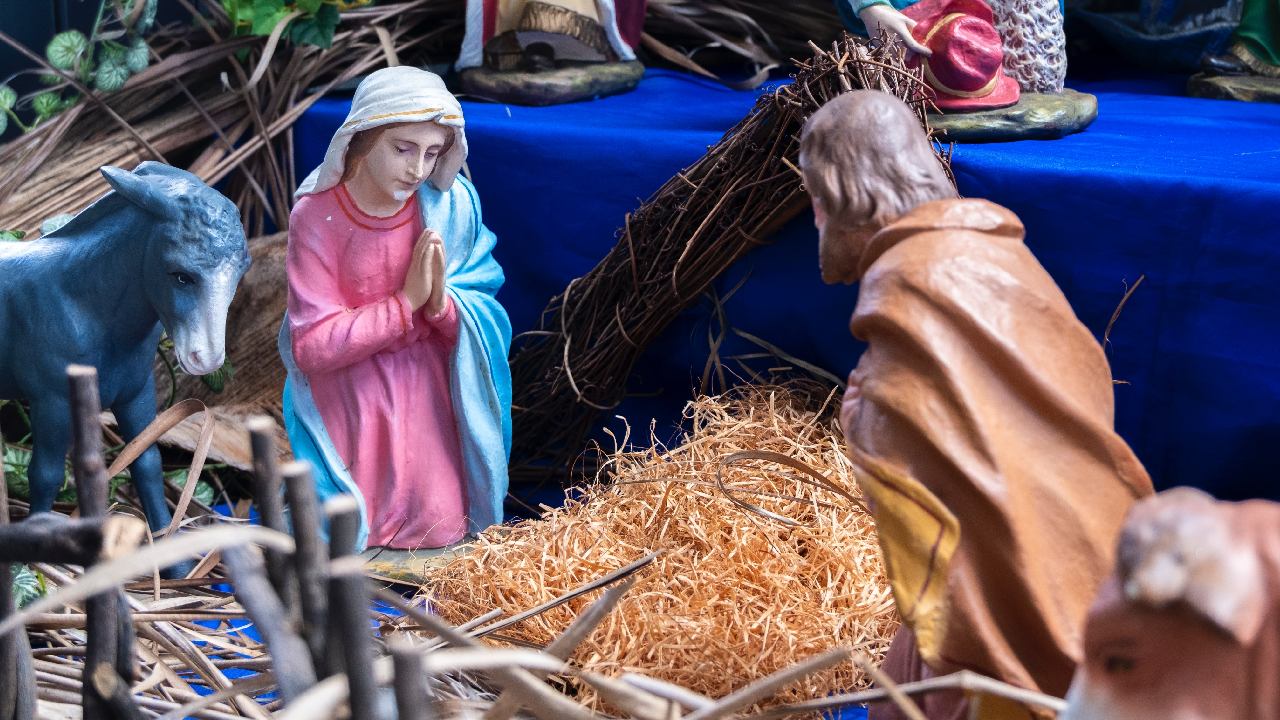 cuando se pone nacimiento navideno