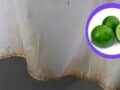 manchas de moho de tu cortina de baño