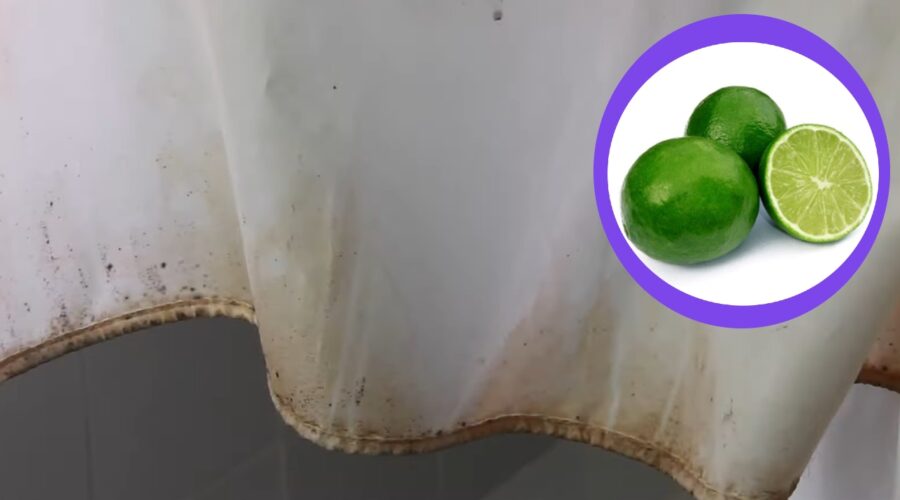 manchas de moho de tu cortina de baño