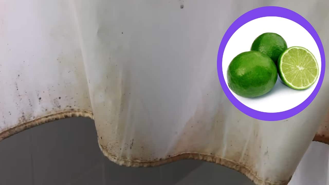 manchas de moho de tu cortina de baño