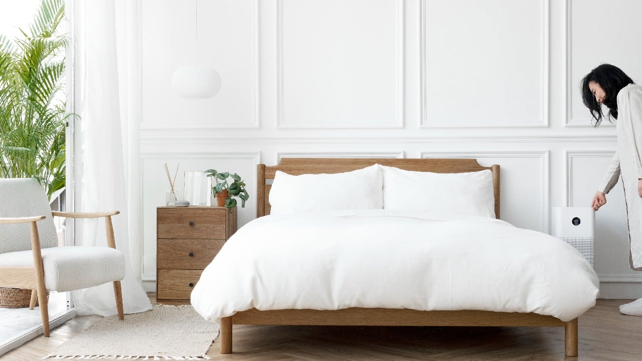 que pasa chinches con frio