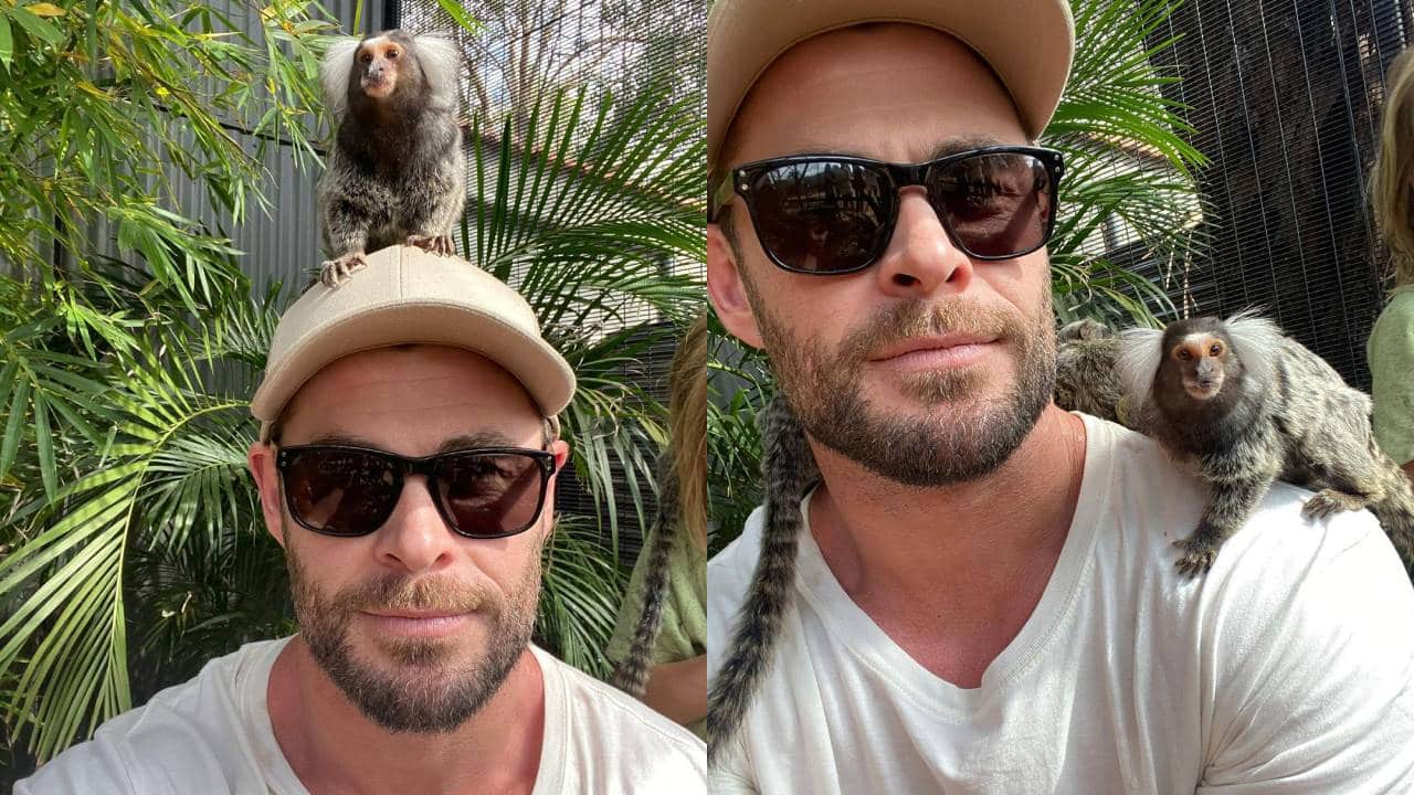 Síntomas de Alzheimer