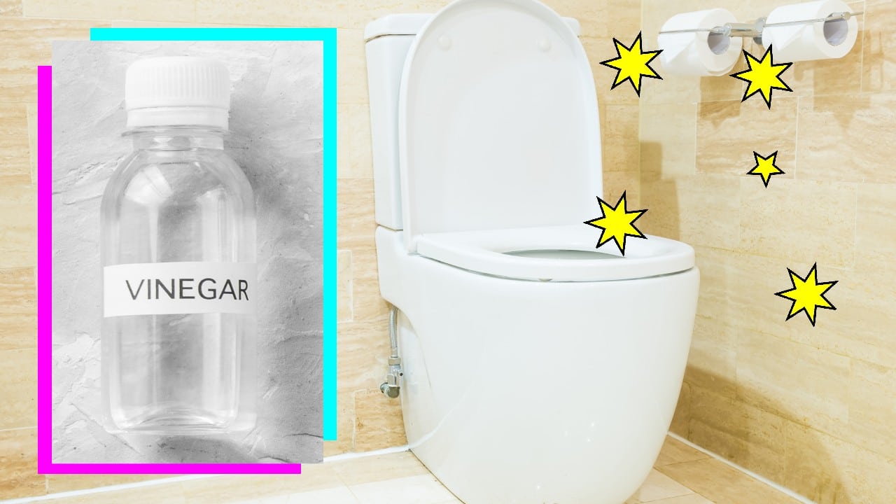 Beneficios del vinagre en el tanque del inodoro