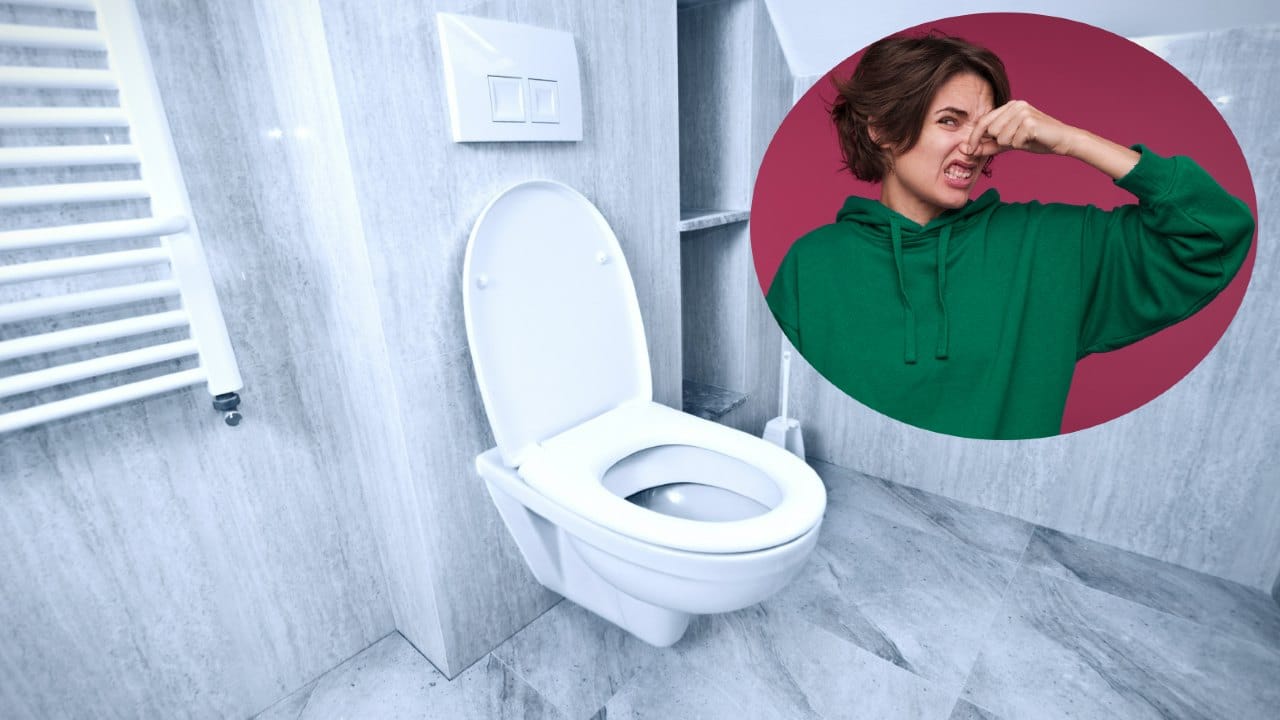 olor a orines del sanitario