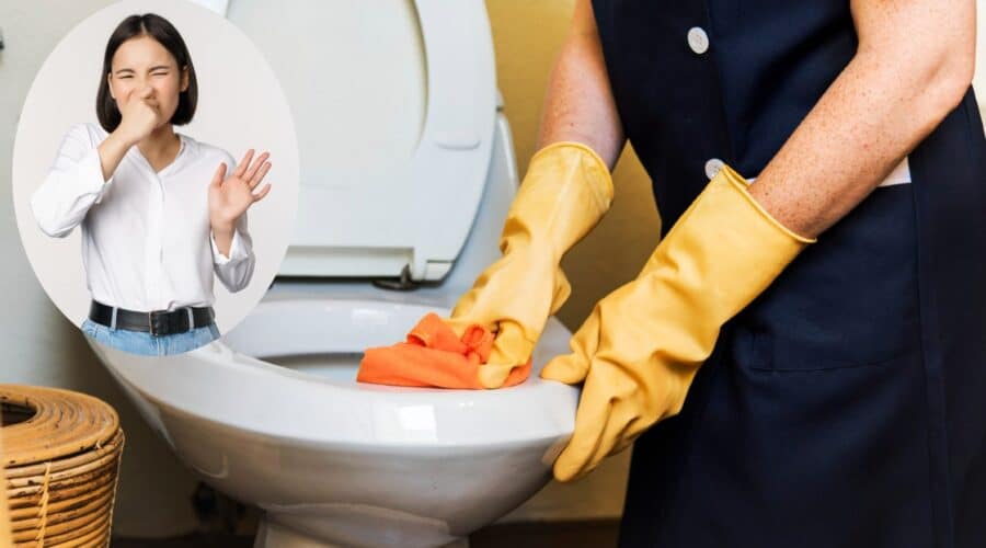 como eliminar olores a orines del bano