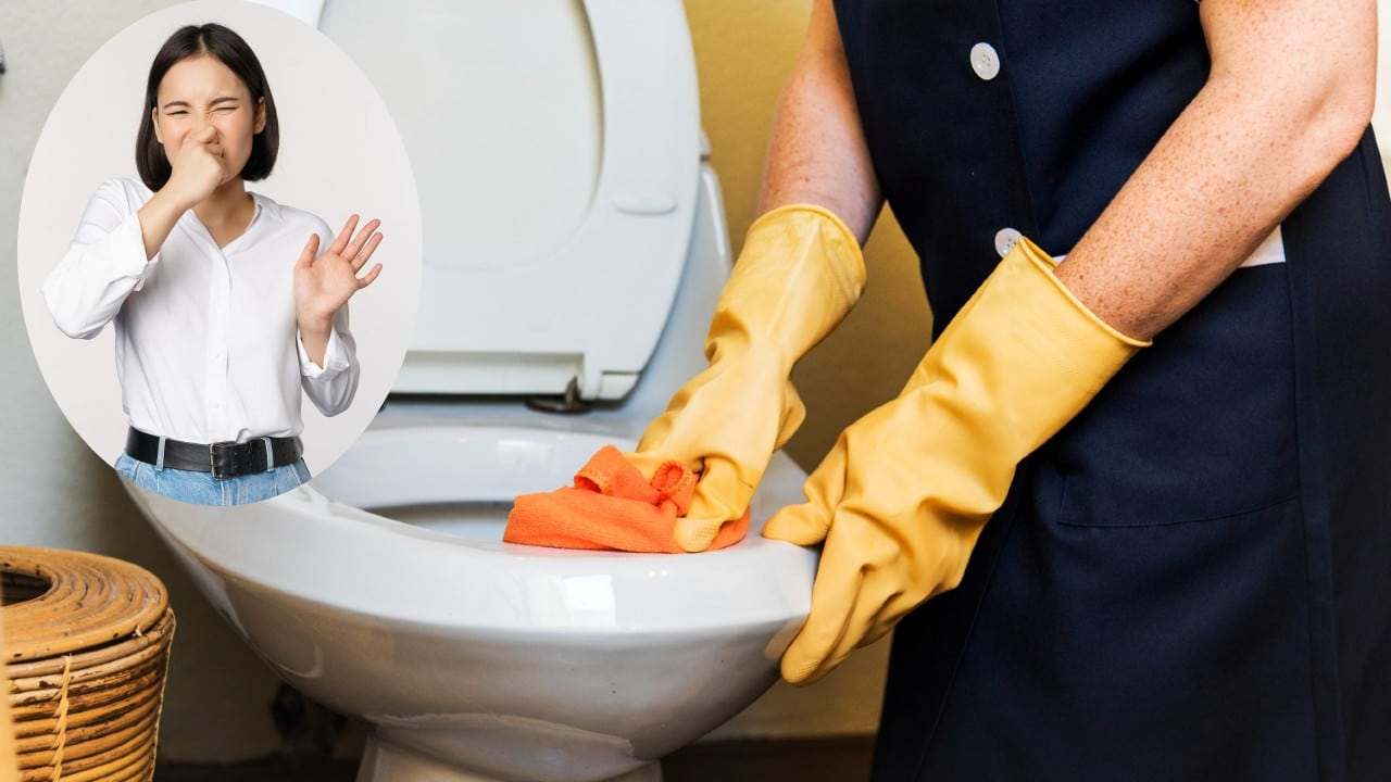 como eliminar olores a orines del bano