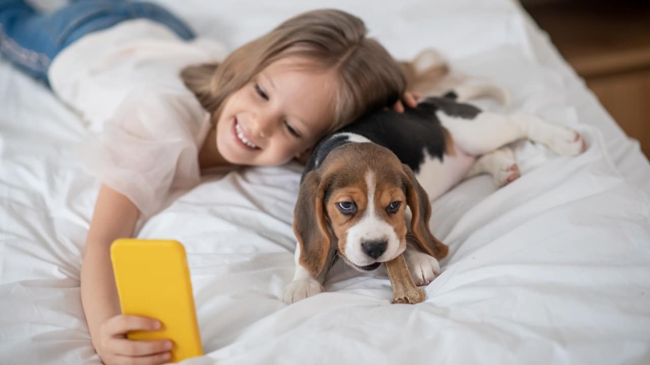 Las mejores razas de perros para niños