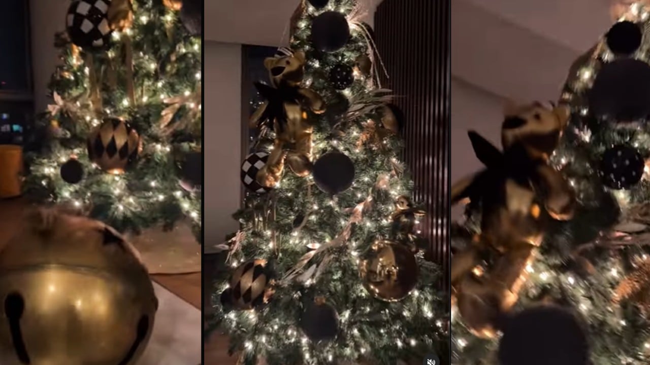 árbol de Navidad de Manelyk González