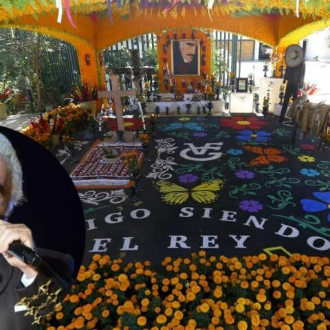 ofrenda de vicente fernandez como se ve