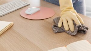 eliminar el polvo en tu casa