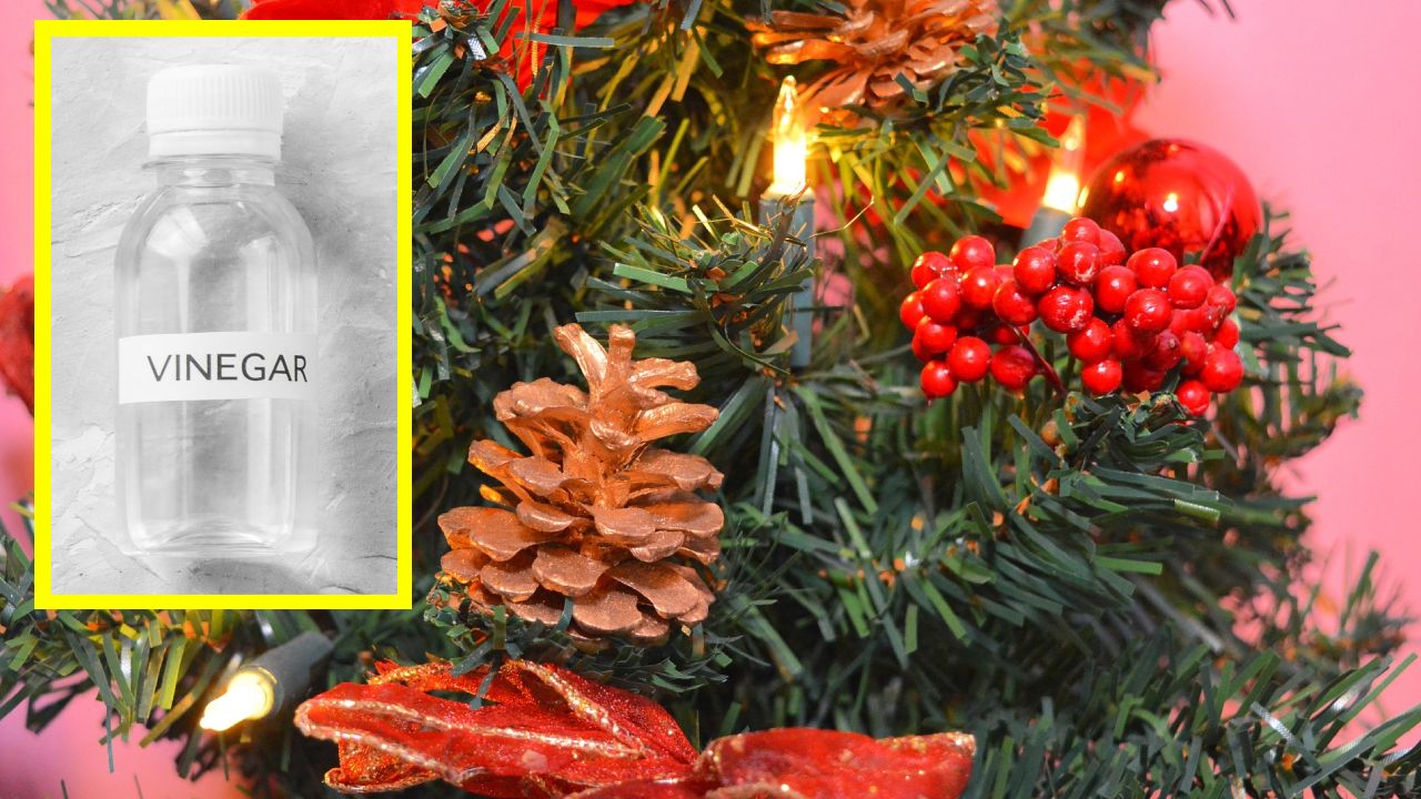 Vinagre para limpiar tu árbol de navidad artificial