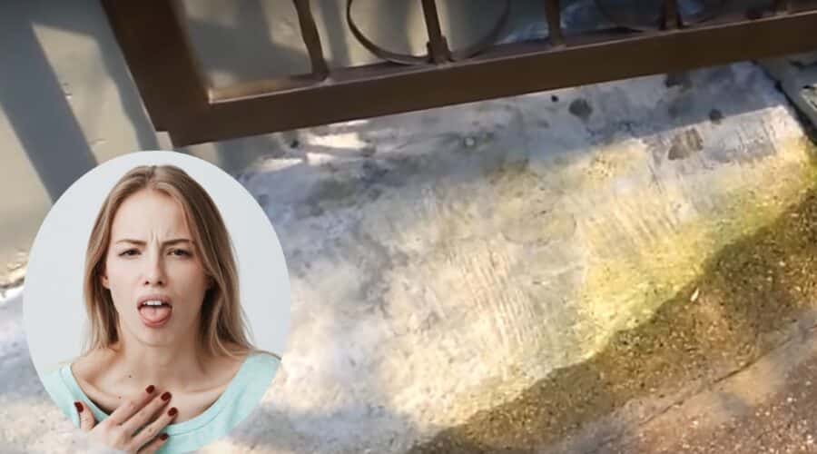 eliminar las manchas de las banquetas de tu casa